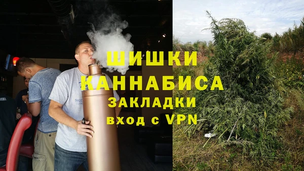 прущие грибы Киреевск
