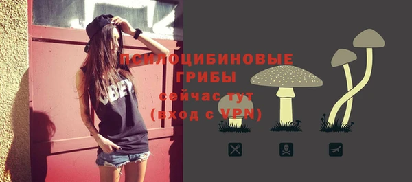 прущие грибы Киреевск