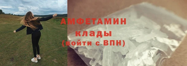 прущие грибы Киреевск