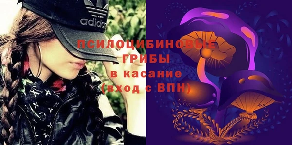 прущие грибы Киреевск
