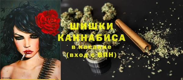 прущие грибы Киреевск