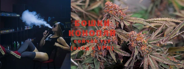прущие грибы Киреевск