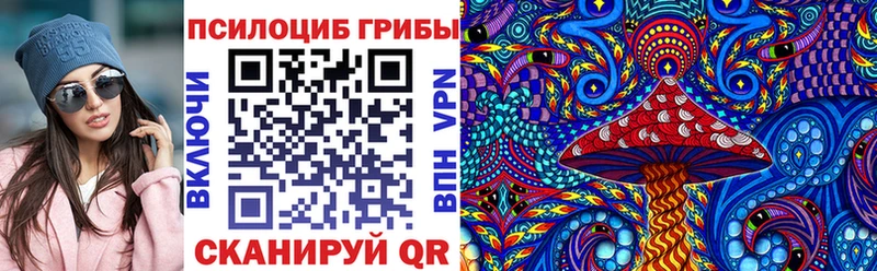 блэк спрут ТОР  дарнет шоп  Омск  Галлюциногенные грибы MAGIC MUSHROOMS 