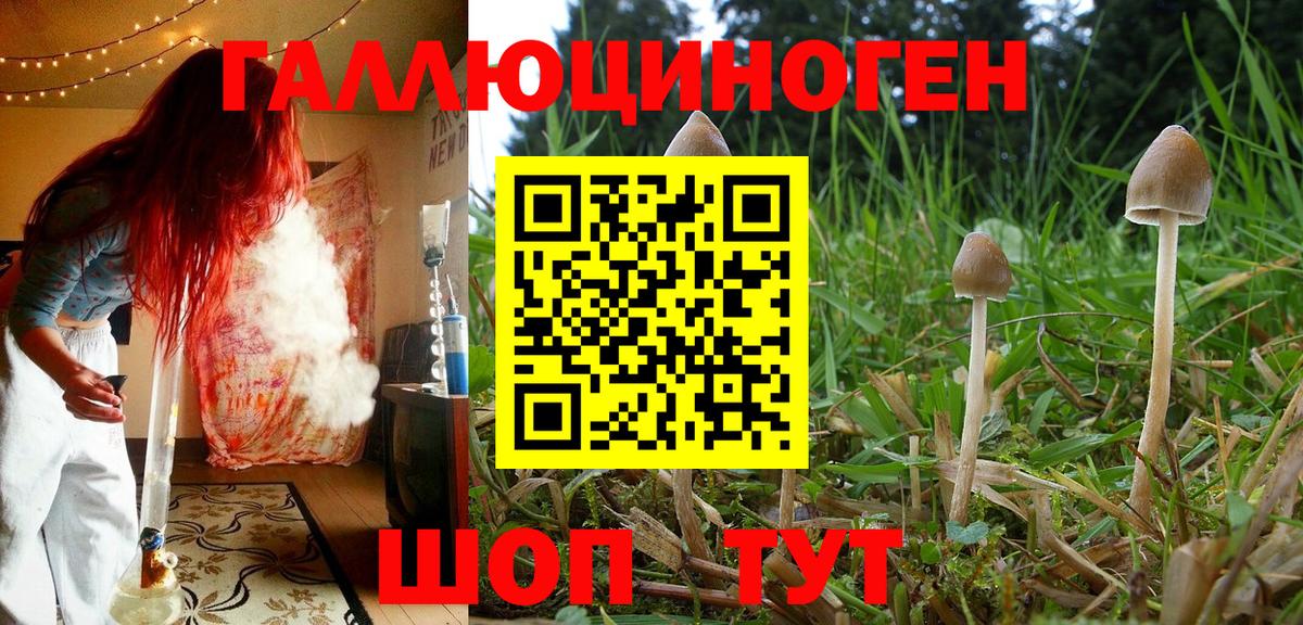 Псилоцибиновые грибы мицелий  Омск 