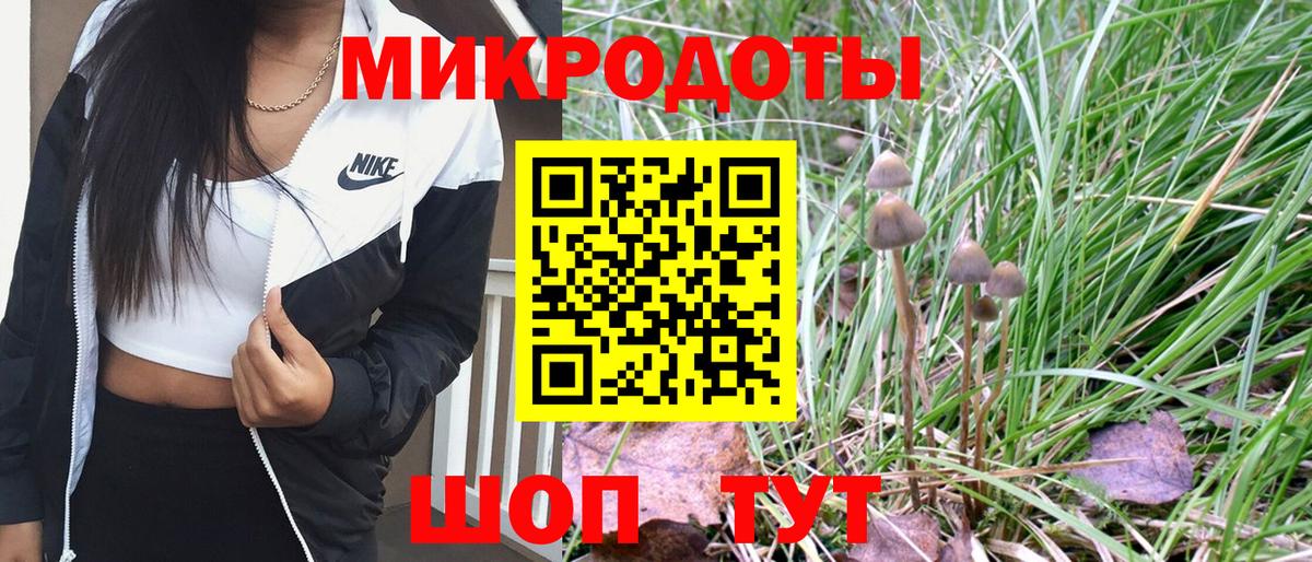 Псилоцибиновые грибы прущие грибы Омск