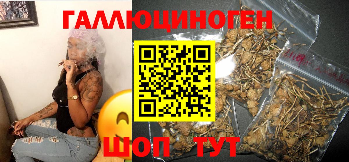 Псилоцибиновые грибы мухоморы Омск