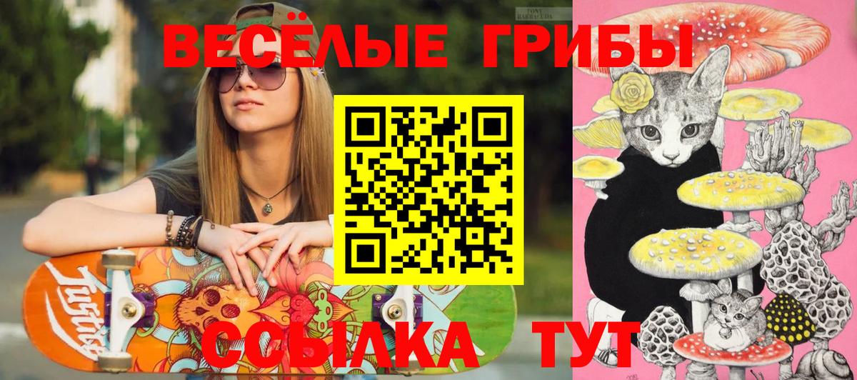 Омск  Галлюциногенные грибы прущие грибы  Вход с VPN 